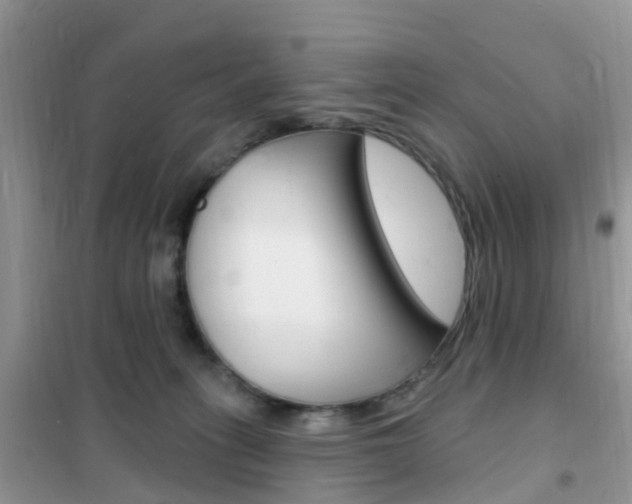 X0000102360275200808011007