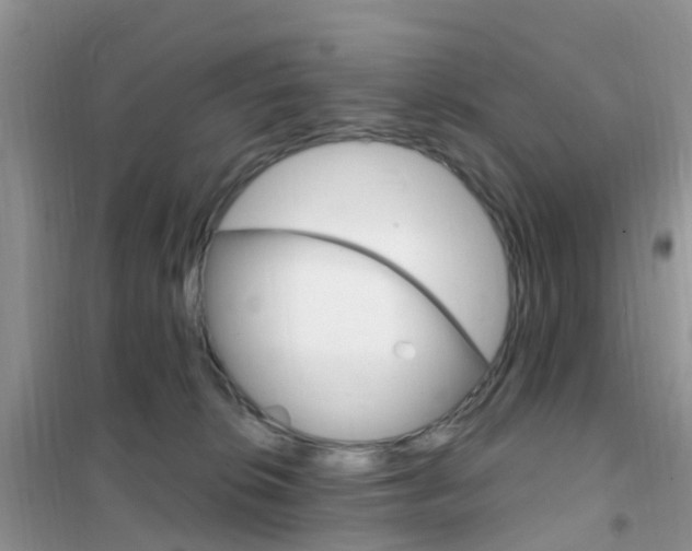 X0000102360276200808011007