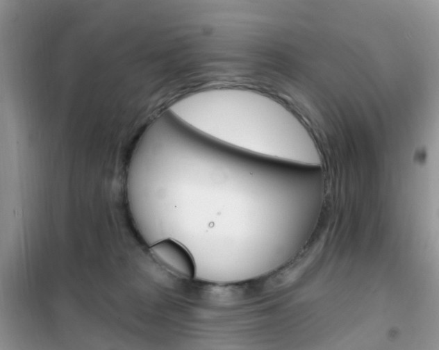 X0000102360277200808011007