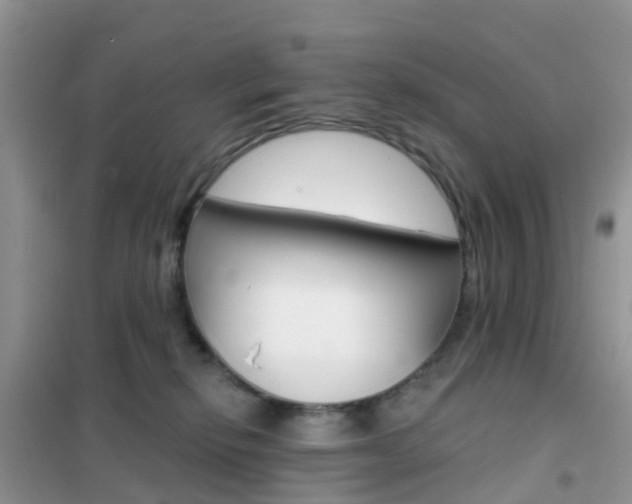 X0000102360278200808011007