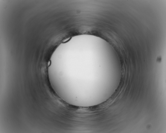 X0000102360280200808011007