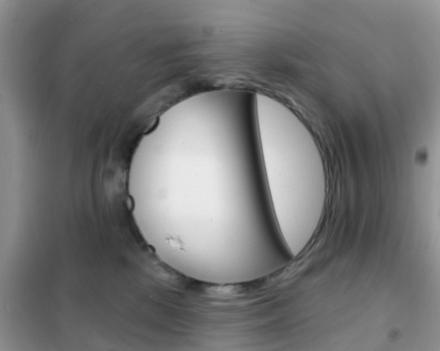 X0000102360281200808011007
