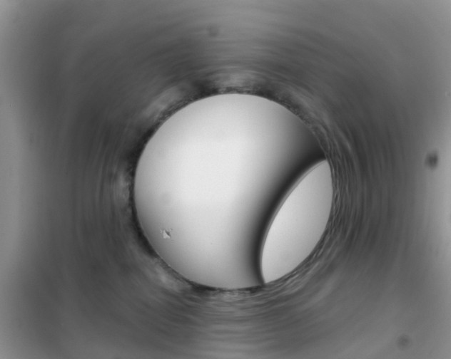 X0000102360282200808011007