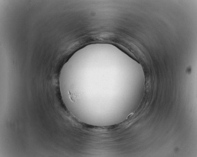 X0000102360284200808011007