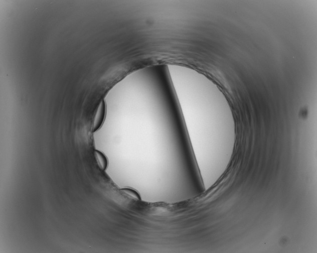 X0000102360285200808011007