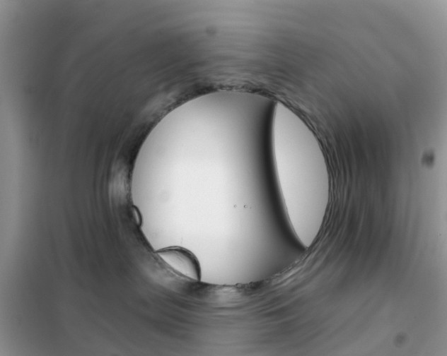 X0000102360287200808011007