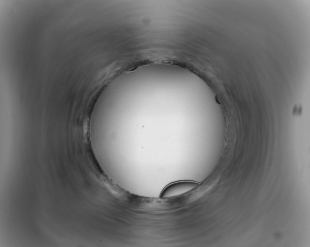 X0000102360288200808011007