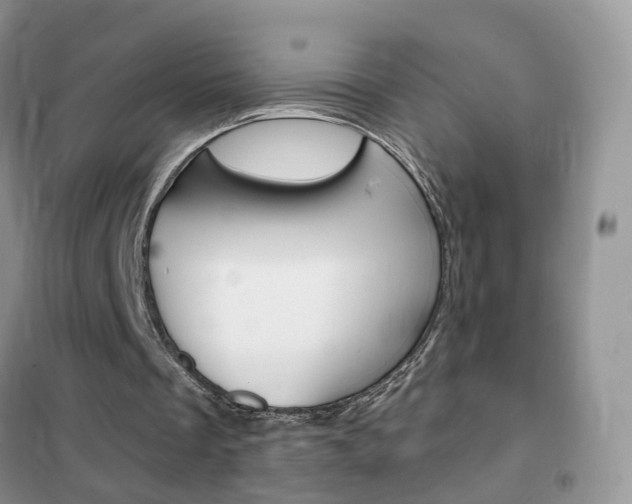 X0000102360289200808011006