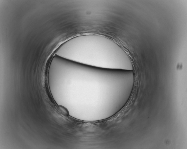 X0000102360290200808011006