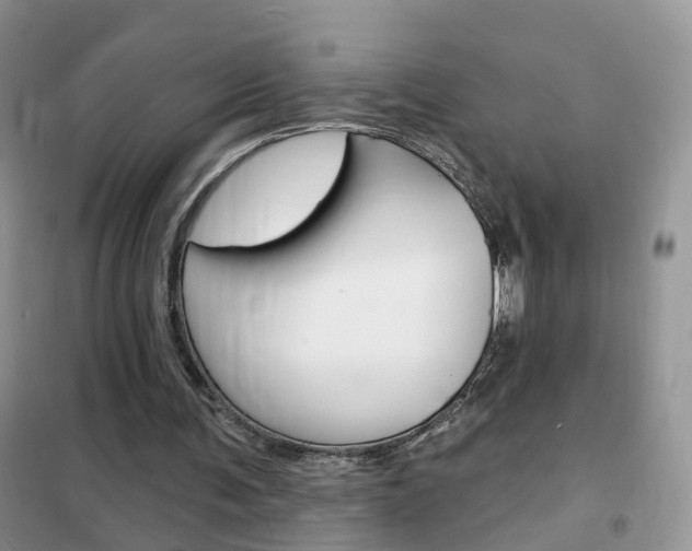 X0000102360291200808011006
