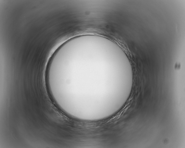 X0000102360292200808011006