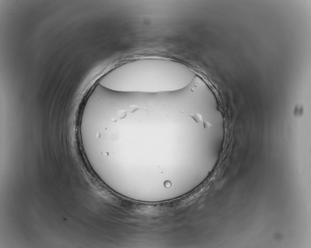 X0000102360293200808011006