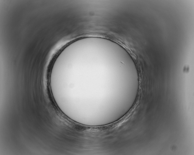 X0000102360294200808011006