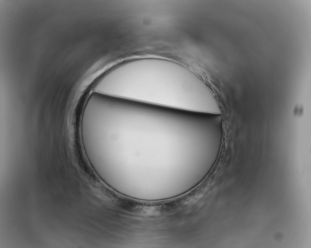 X0000102360295200808011006