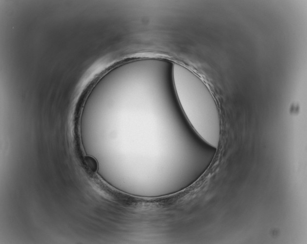 X0000102360296200808011006