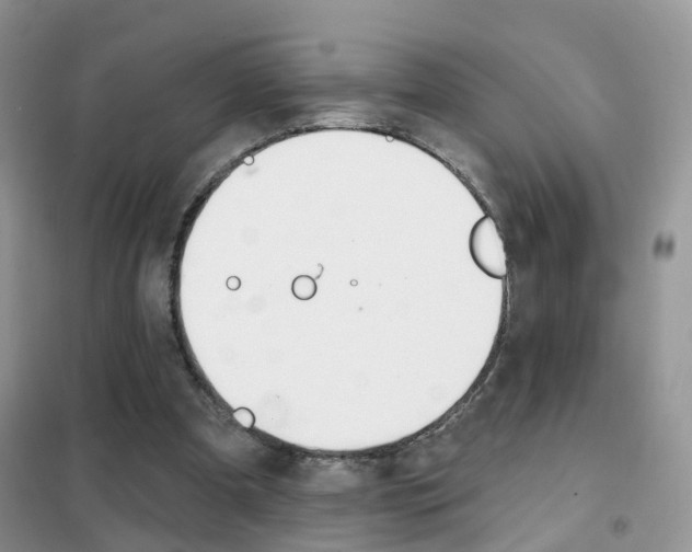 X0000102360297200808011006