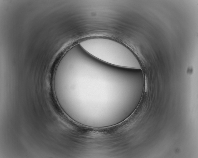 X0000102360300200808011006