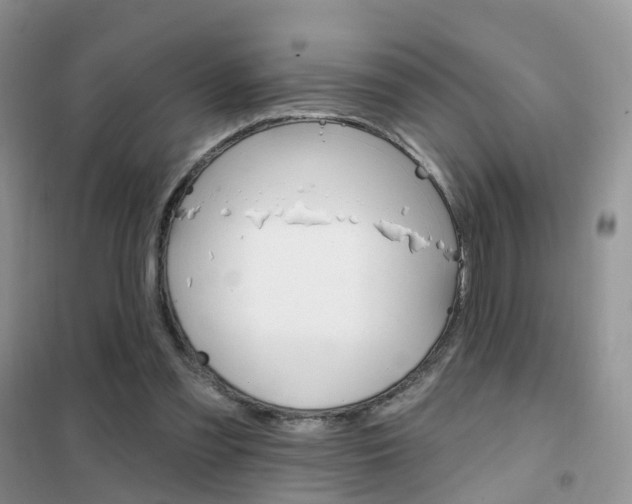 X0000102360301200808011006