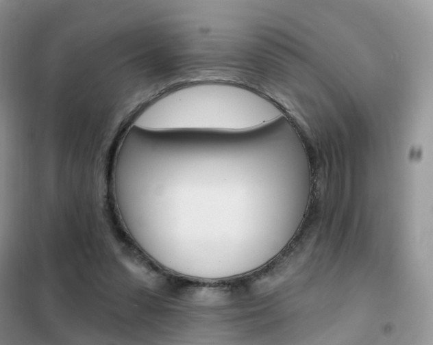 X0000102360303200808011006