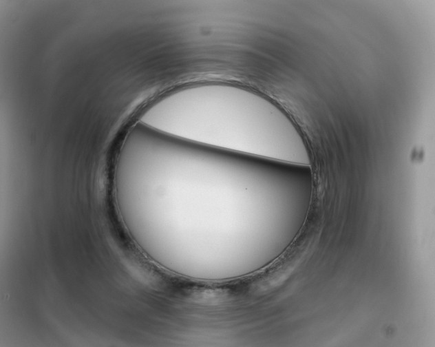 X0000102360304200808011006