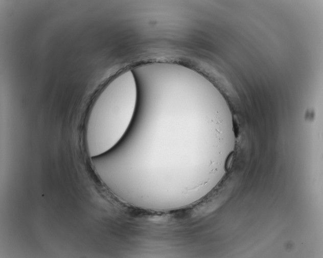 X0000102360306200808011006