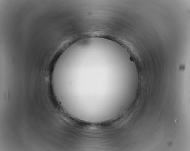 X0000102360308200808011006