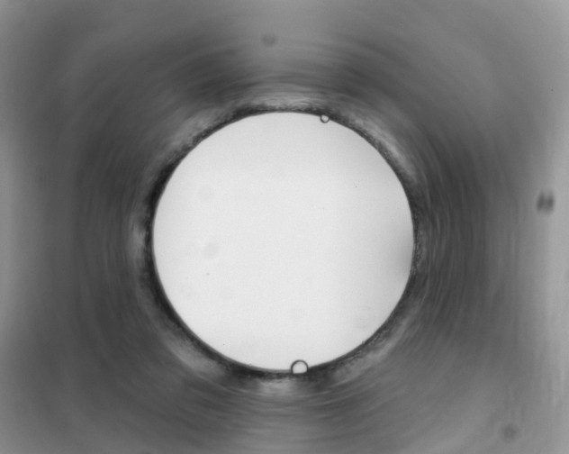 X0000102360309200808011006