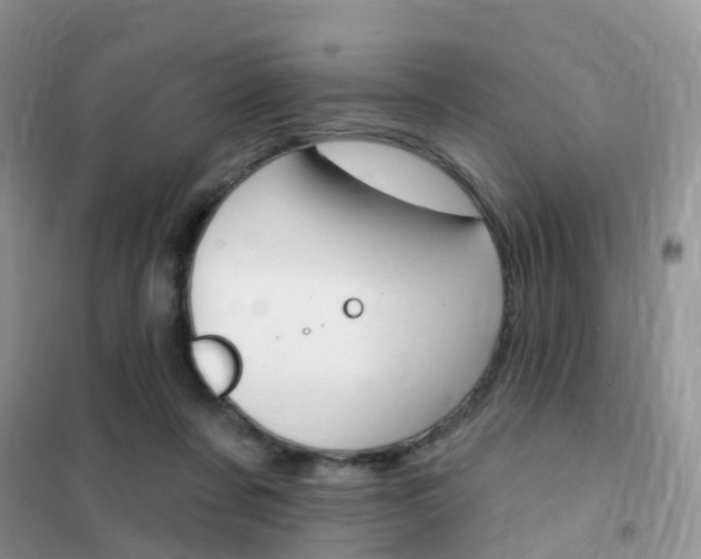 X0000102360311200808011006
