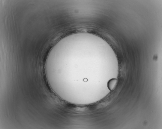 X0000102360314200808011006