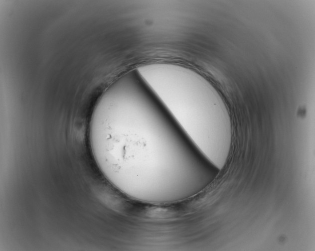 X0000102360315200808011005