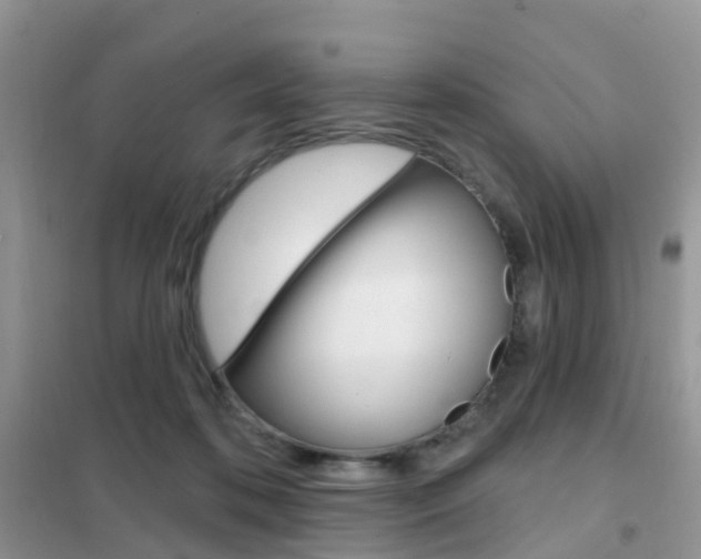 X0000102360316200808011005