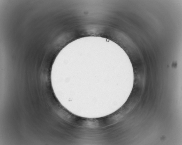 X0000102360317200808011005