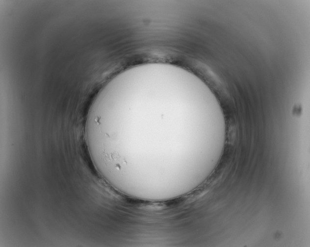 X0000102360318200808011005