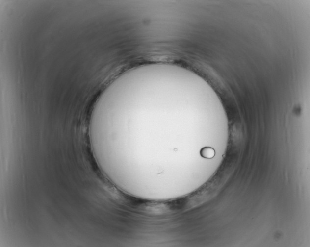 X0000102360322200808011005