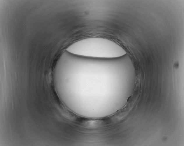 X0000102360323200808011005