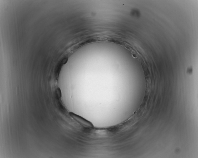 X0000102360324200808011005