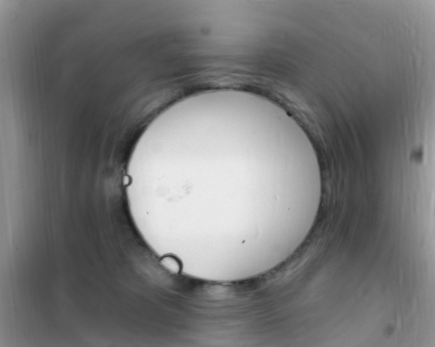 X0000102360325200808011005