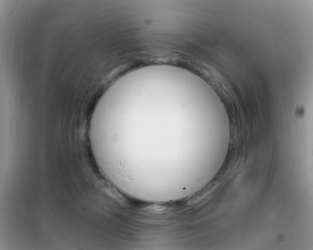 X0000102360326200808011005