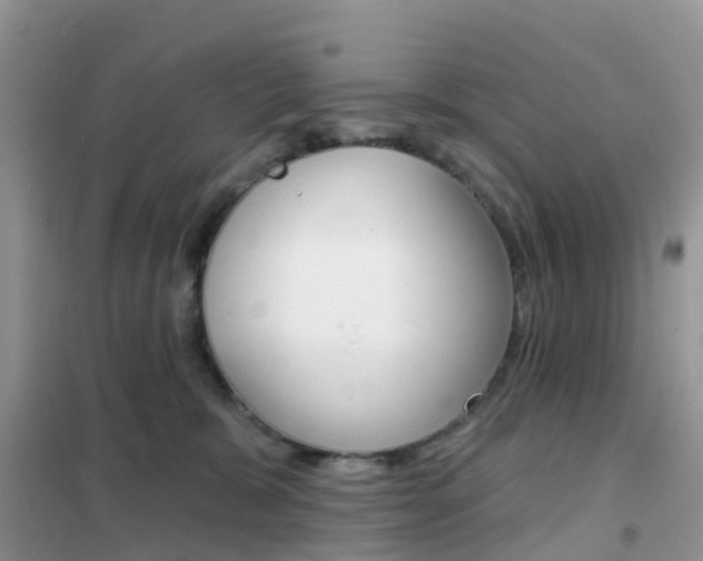 X0000102360327200808011005