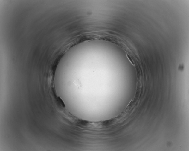 X0000102360328200808011005