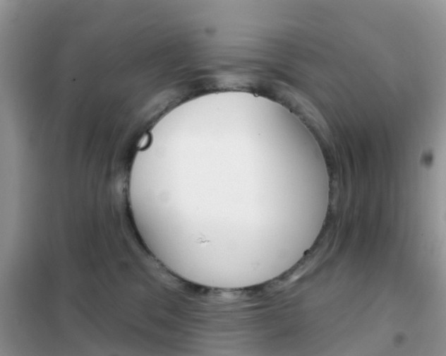 X0000102360329200808011005