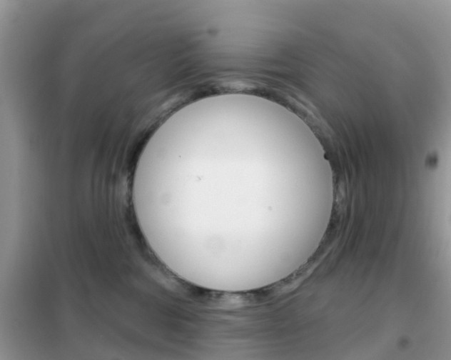 X0000102360330200808011005