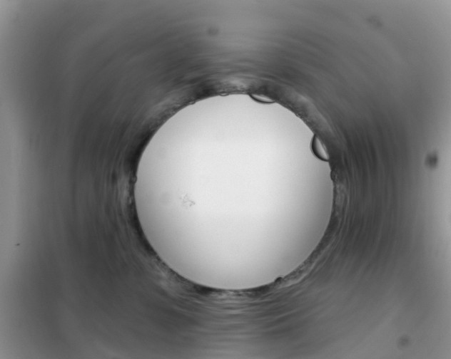 X0000102360331200808011005