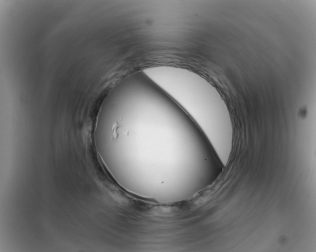X0000102360332200808011005