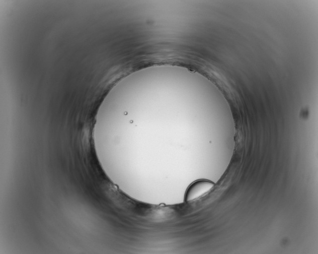X0000102360333200808011005