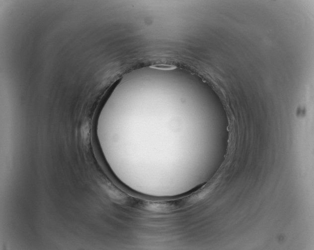 X0000102360336200808011005