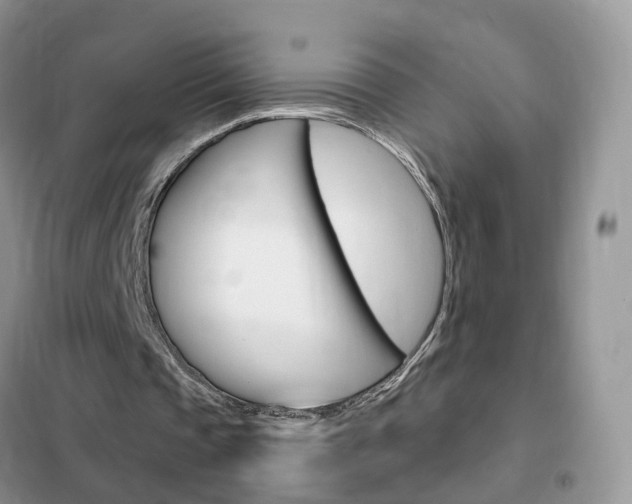 X0000102360337200808011004