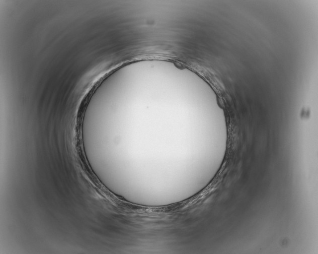 X0000102360338200808011004