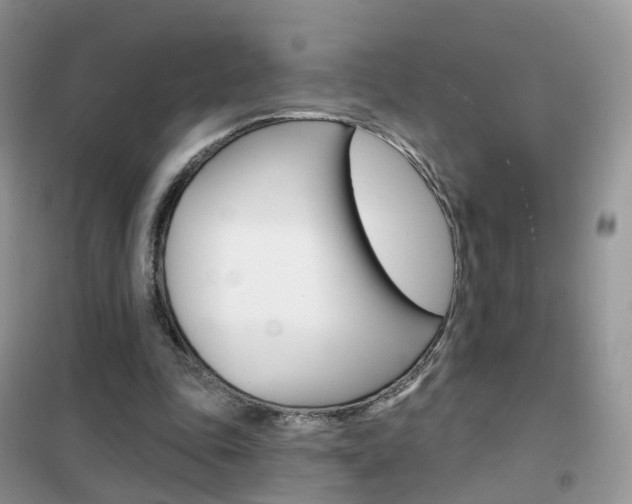 X0000102360343200808011004