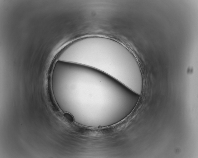 X0000102360344200808011004